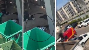 Perícia aponta que bebê encontrada em lixeira nasceu com vida; mãe é identificada