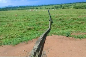 Postes destruídos por temporais aumentam 48% em MT